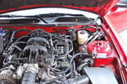 th_DSC_3902