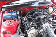 th_DSC_3903